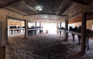 Appalachian Trail Rides Barn